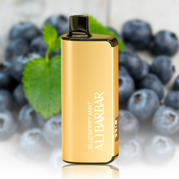 ALIBARBAR INGOT 9000 Puffs Blueberry Mint — Buy Online Australia | Buy Vape Online