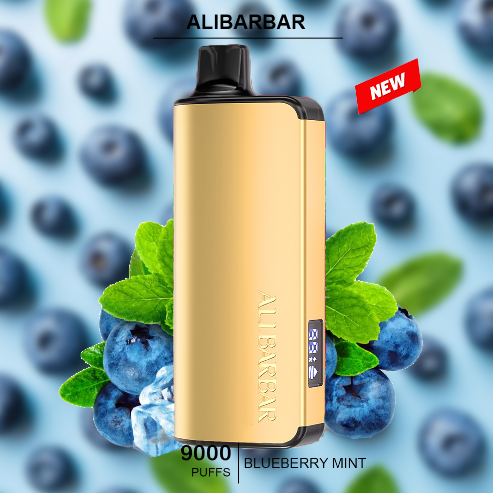 ALIBARBAR INGOT - BLUEBERRY MINT - 9000 PUFFS — Buy Online Australia | Buy Vape Online