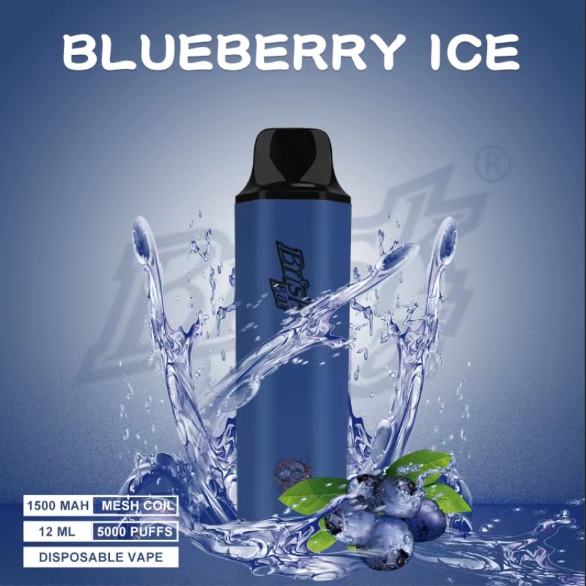 BRISK BAR BLUEBERRY ICE - 5000 PUFFS — Buy Online Australia | Buy Vape Online