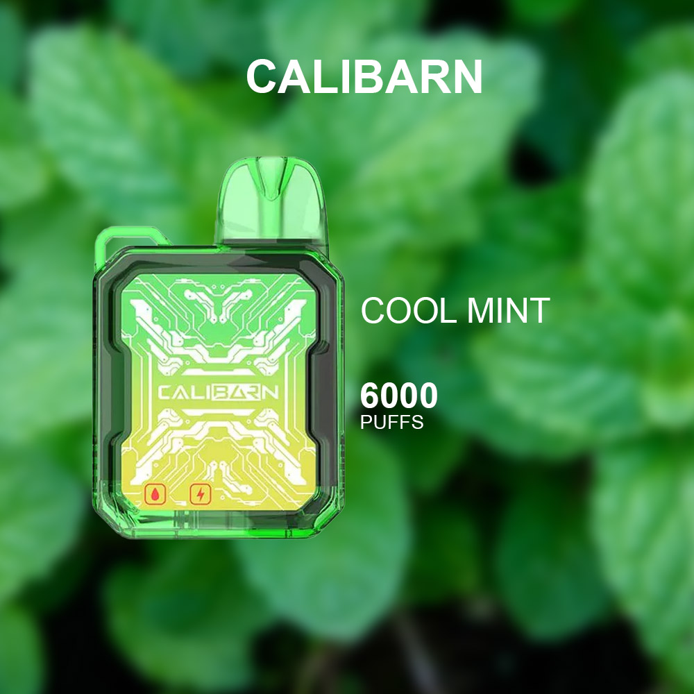 CALIBARN COOL MINT - 6000 PUFFS — Buy Online Australia | Buy Vape Online