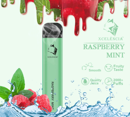 GUNNPOD RASPBERRY MINT - 2000 PUFFS — Buy Online Australia | Buy Vape Online