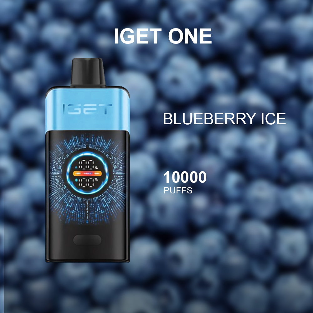 IGET ONE BLUEBERRY ICE - 12000 PUFFS — Buy Online Australia | Buy Vape Online