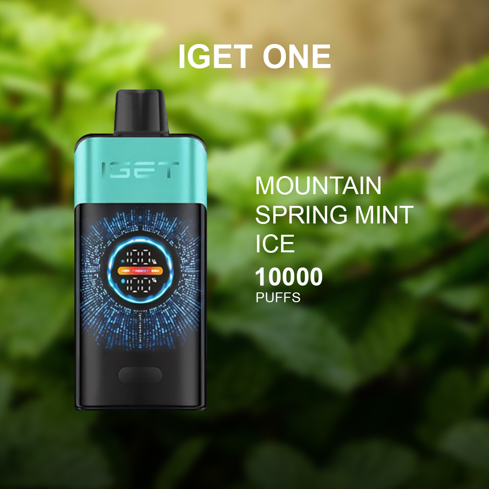 IGET ONE MOUNTAIN SPRING MINT ICE - 12000 PUFFS — Buy Online Australia | Buy Vape Online