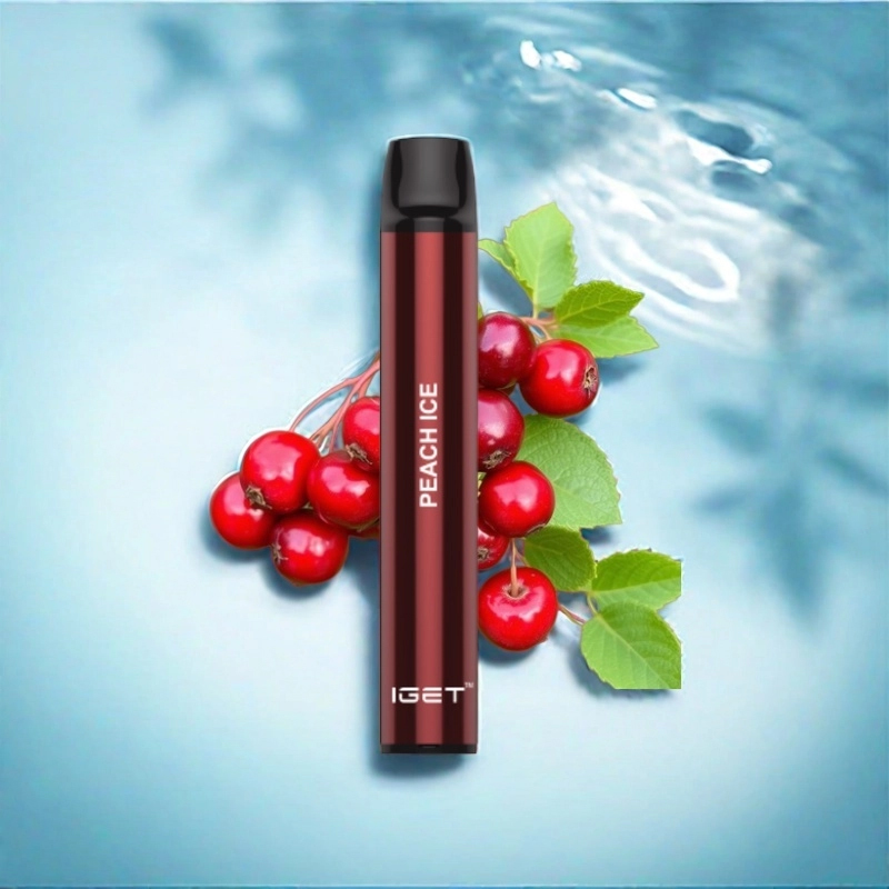 IGET SHION CRANBERRY - 600 PUFFS — Buy Online Australia | Buy Vape Online