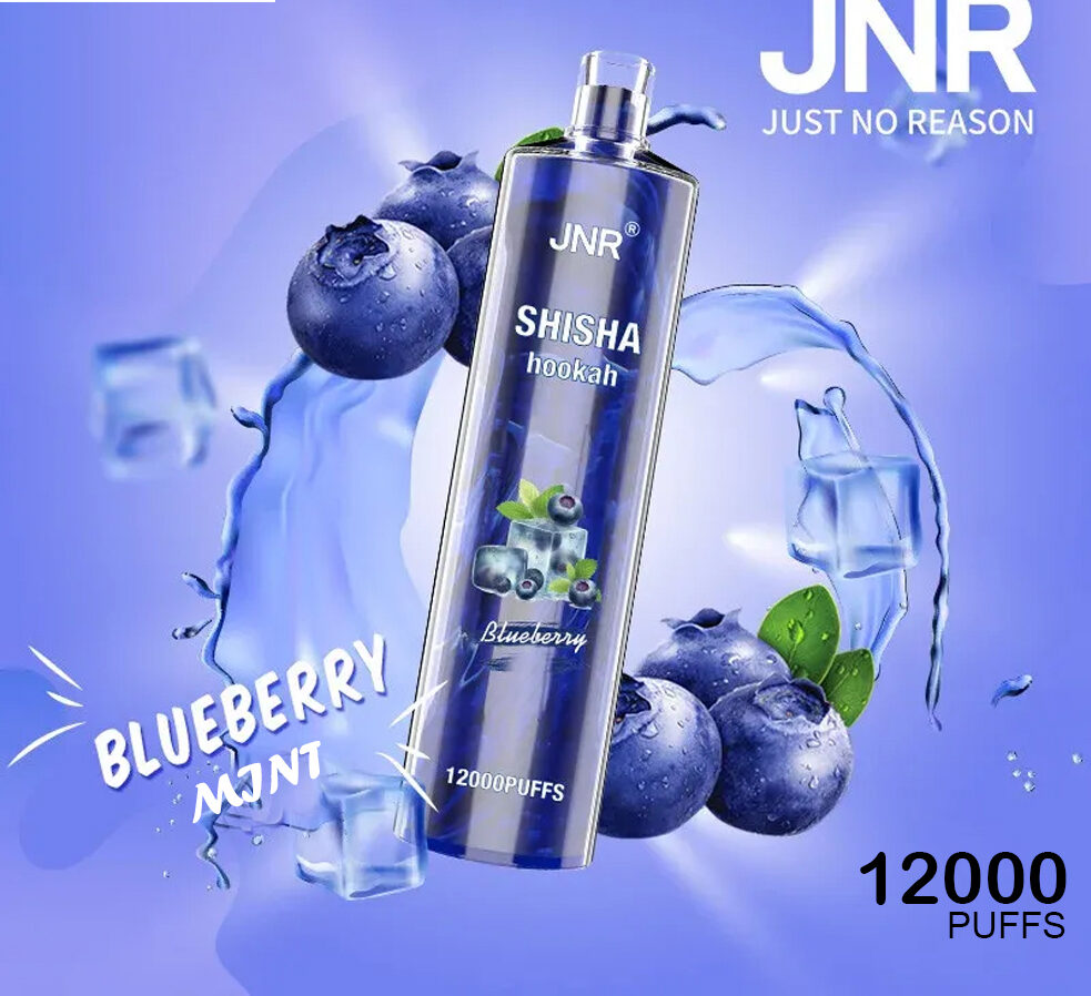 JNR SHISHA HOOKAH - BLUEBERRY MINT - 12000 PUFFS — Buy Online Australia | Buy Vape Online