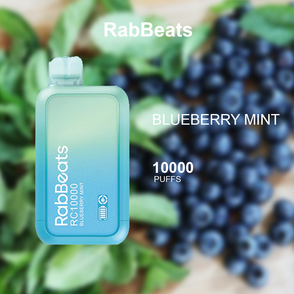 RABBEATS BAR BLUEBERRY MINT - 10000 PUFFS — Buy Online Australia | Buy Vape Online