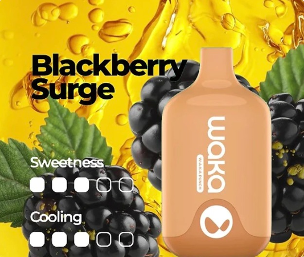 WAKA SMASH BLACKBERRY SURGE - 6000 PUFFS — Buy Online Australia | Buy Vape Online